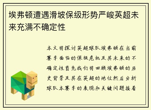 埃弗顿遭遇滑坡保级形势严峻英超未来充满不确定性