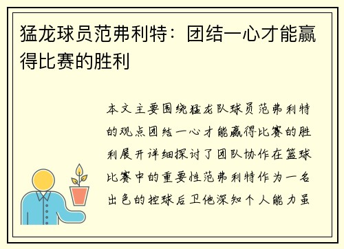 猛龙球员范弗利特：团结一心才能赢得比赛的胜利