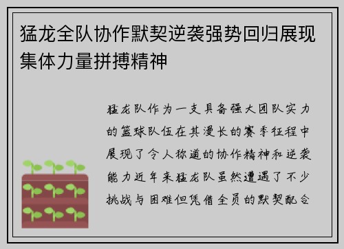 猛龙全队协作默契逆袭强势回归展现集体力量拼搏精神